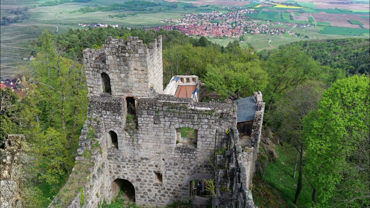 Rando vosgienne Charles 19/04/25 Trois Châteaux de Scherwiller