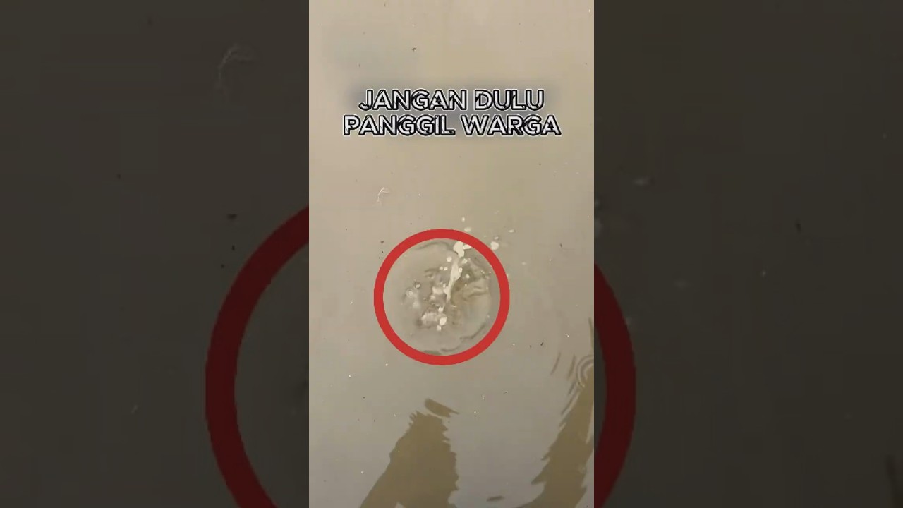 Cara Praktis Menemukan Gelang Emas di Sungai