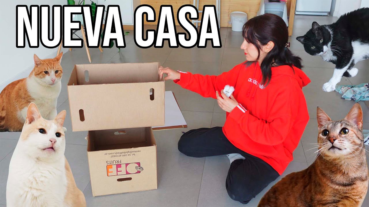LA CASA PARA MIS HEREDEROS (Gatos)