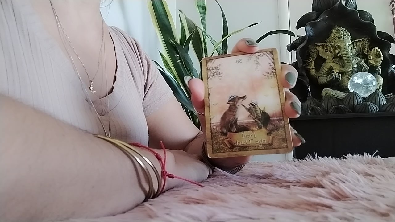 Escorpião Março - Dedicados a Constituir Uma Família. O Nascimento de Um Bebê Com Uma Forte Missão