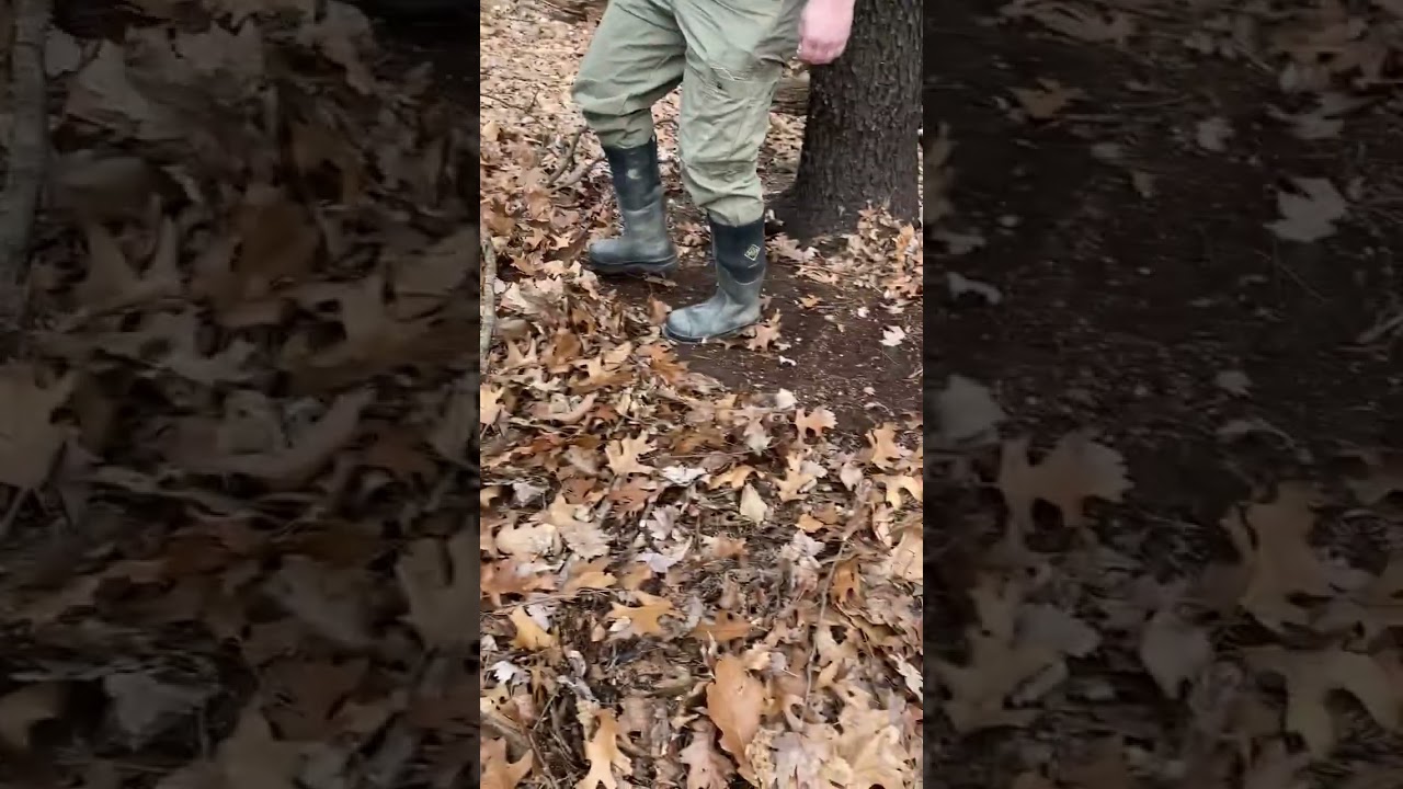 Hunting Tip! When hunting from the ground, try this.