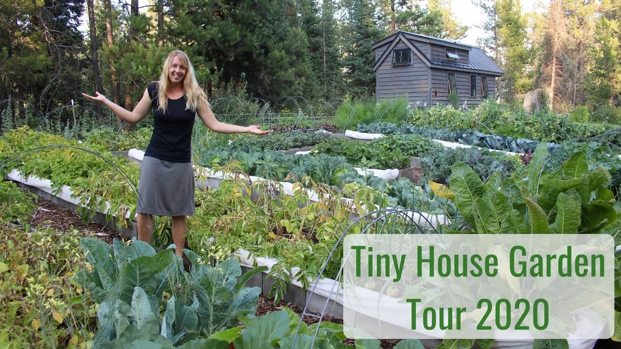 Life in a Tiny House called Fy Nyth - Garden Tour 2020