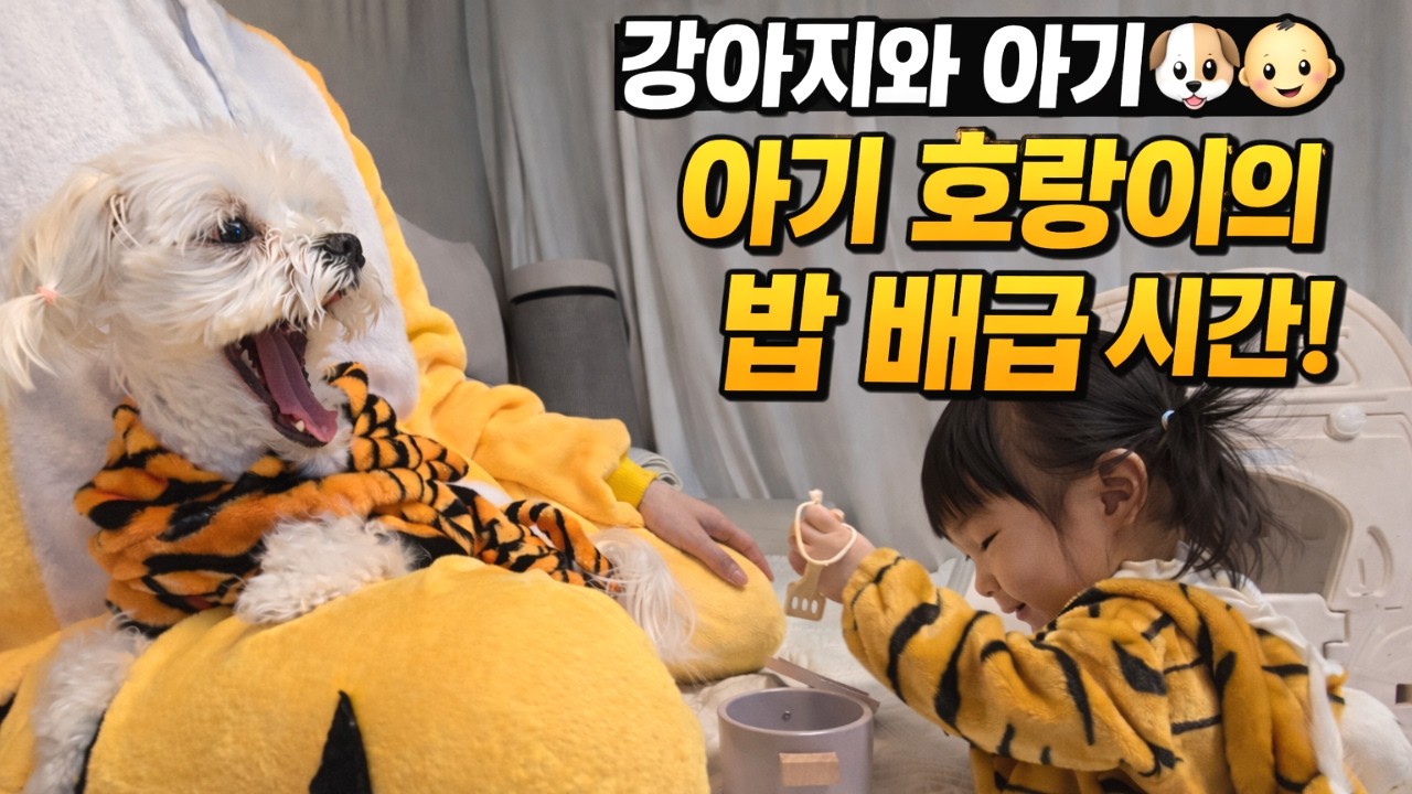 강아지 밥 직접 배급한 아기 👶🐶 반응이 이럴 줄이야…