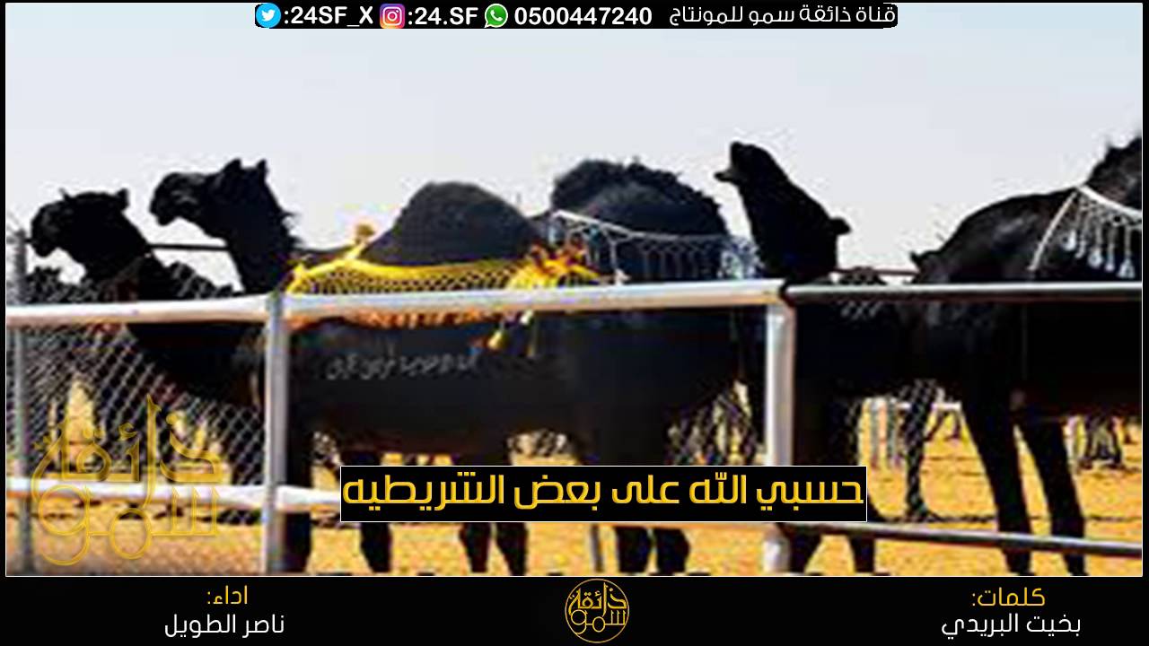 جديد حماسيه اداء ناصر الطويل