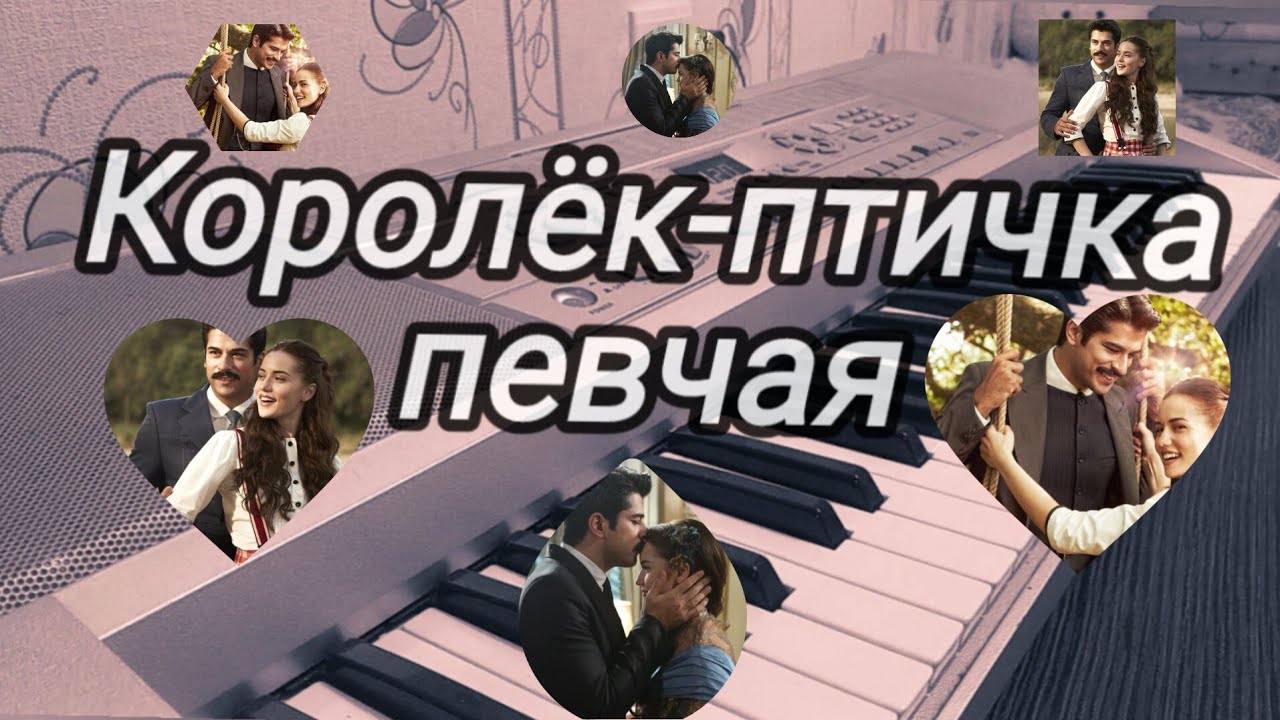 Çalıkuşu/Королёк-птичка певчая на пианино