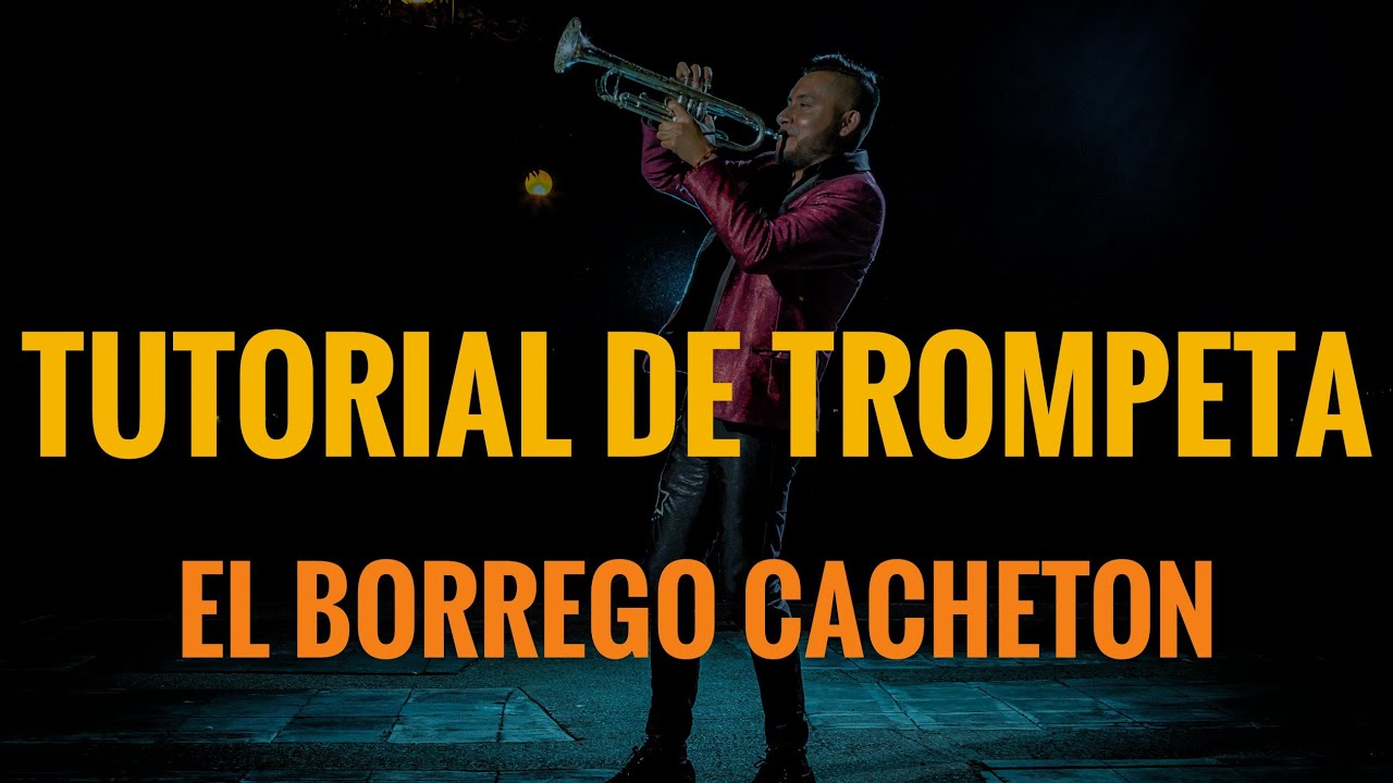 El Borrego Cacheton Banda mm Tutorial De Trompeta / Daniel Hernandez TV