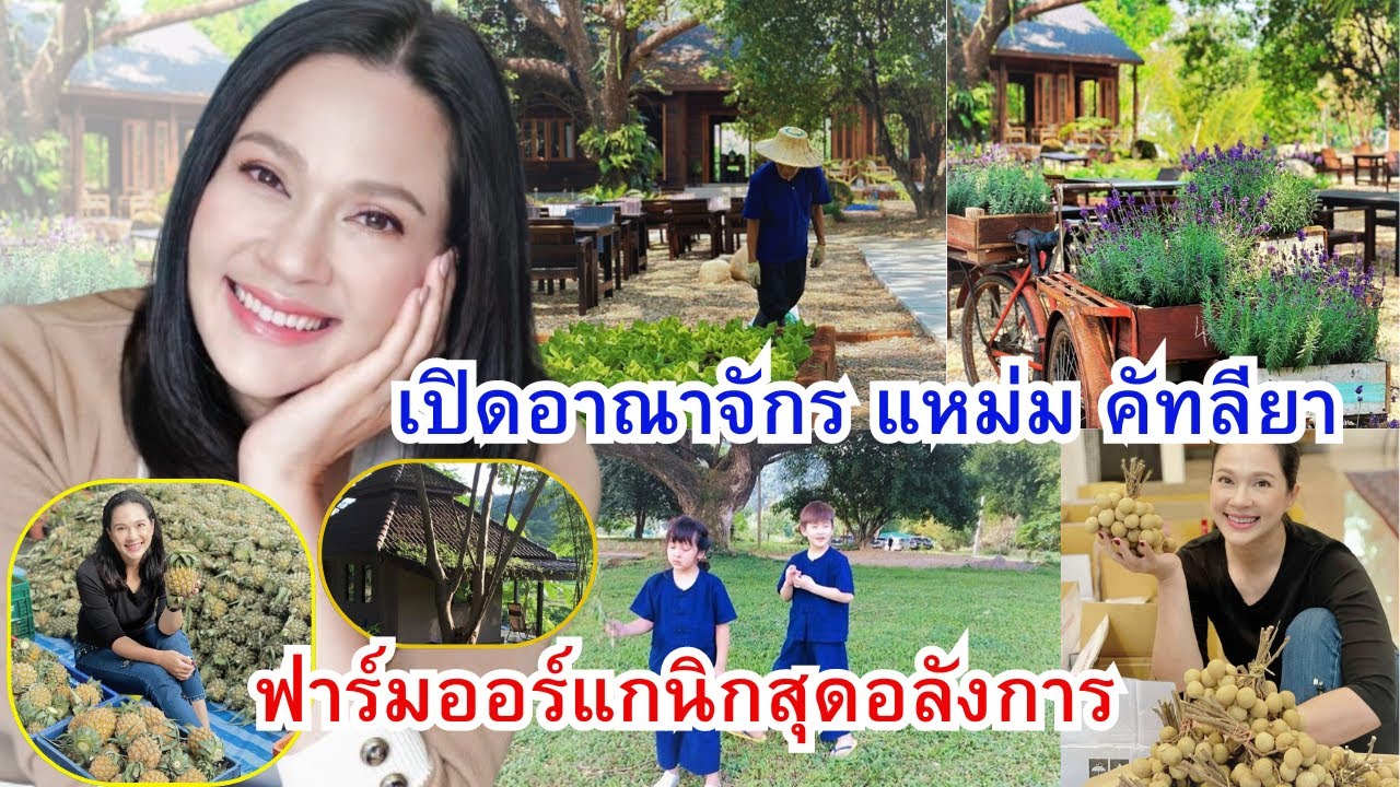 เปิดอาณาจักร