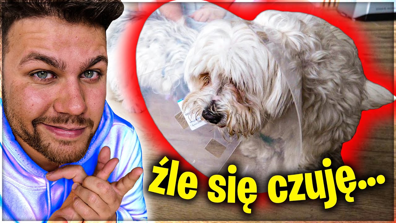 NASZ PIESEK MIAŁ OPERACJE...