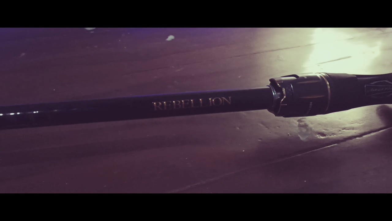 Rod Daiwa Rebellion 10-20 lb 662MHRB