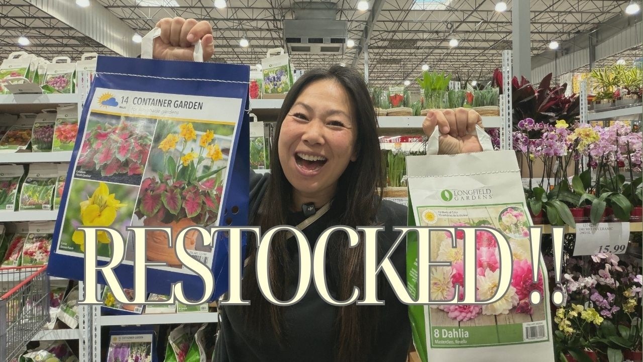 They Restocked EVERYTHING !! Costco February Update