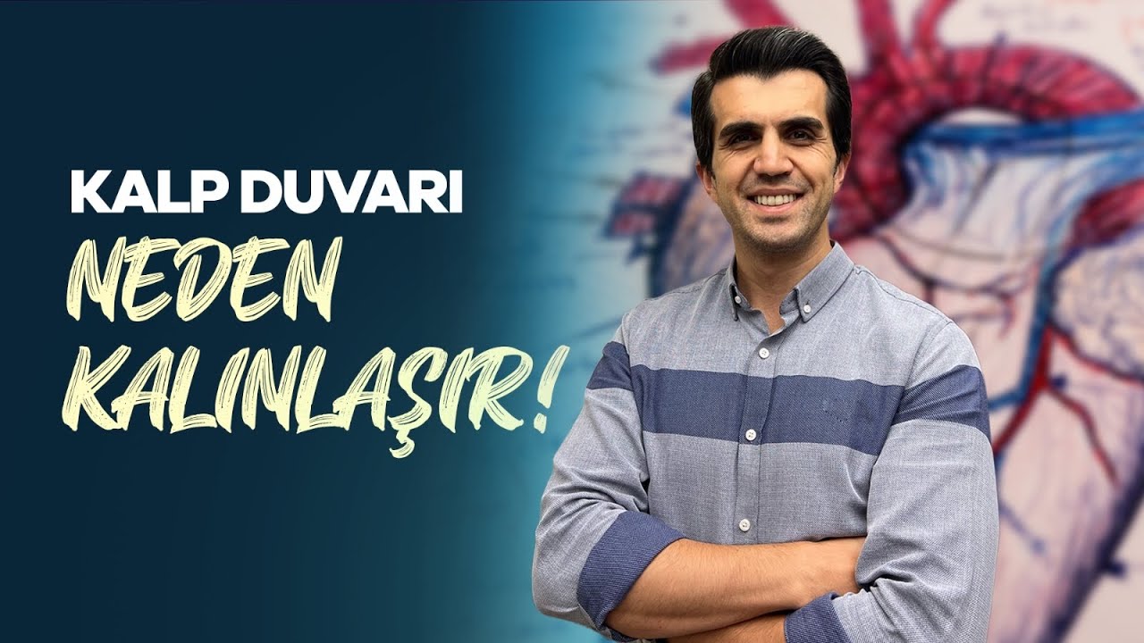 Sol Ventrikül Hipertrofisi Nedir? | Kalp Duvar Kalınlaşmasının Nedenleri
