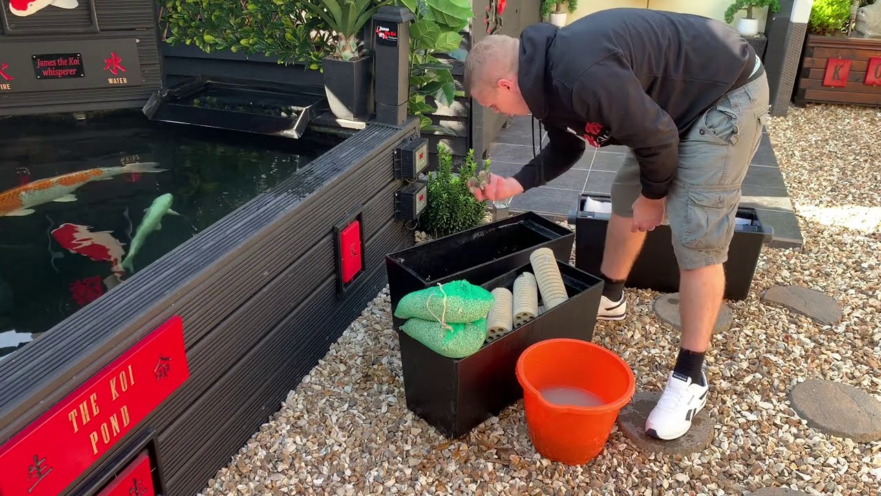 DIY KOI POND***SOME GOOD NEWS***CHANGING THE MEDIA IN THE SHOWER FILTER