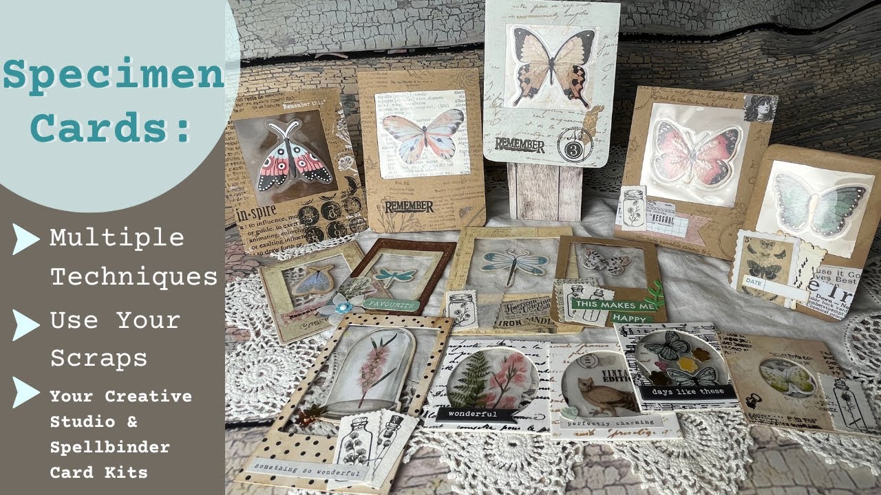 Specimen Cards Multiple Ways Tutorial