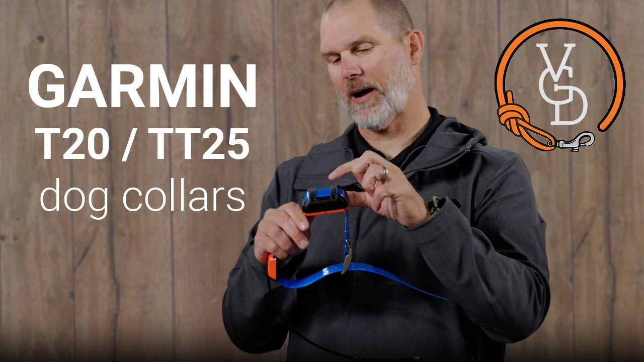 Могут ли эти новые ошейники Garmin помочь вашей собаке?