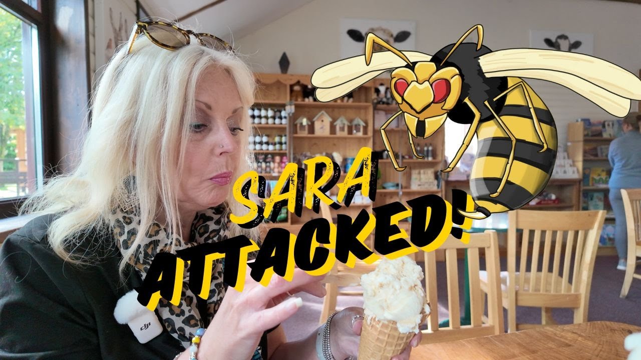 VANLIFE Scotland - Solway Firth, Kirkcudbright, Mull of Galloway & Ice Cream!  + Sara FIGHTS a wasp