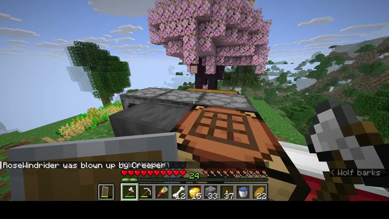 Minecraft Part 5