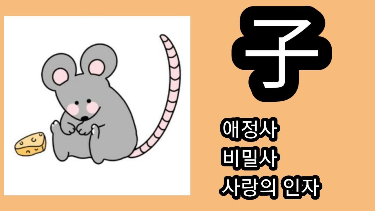 자수의 특징은?