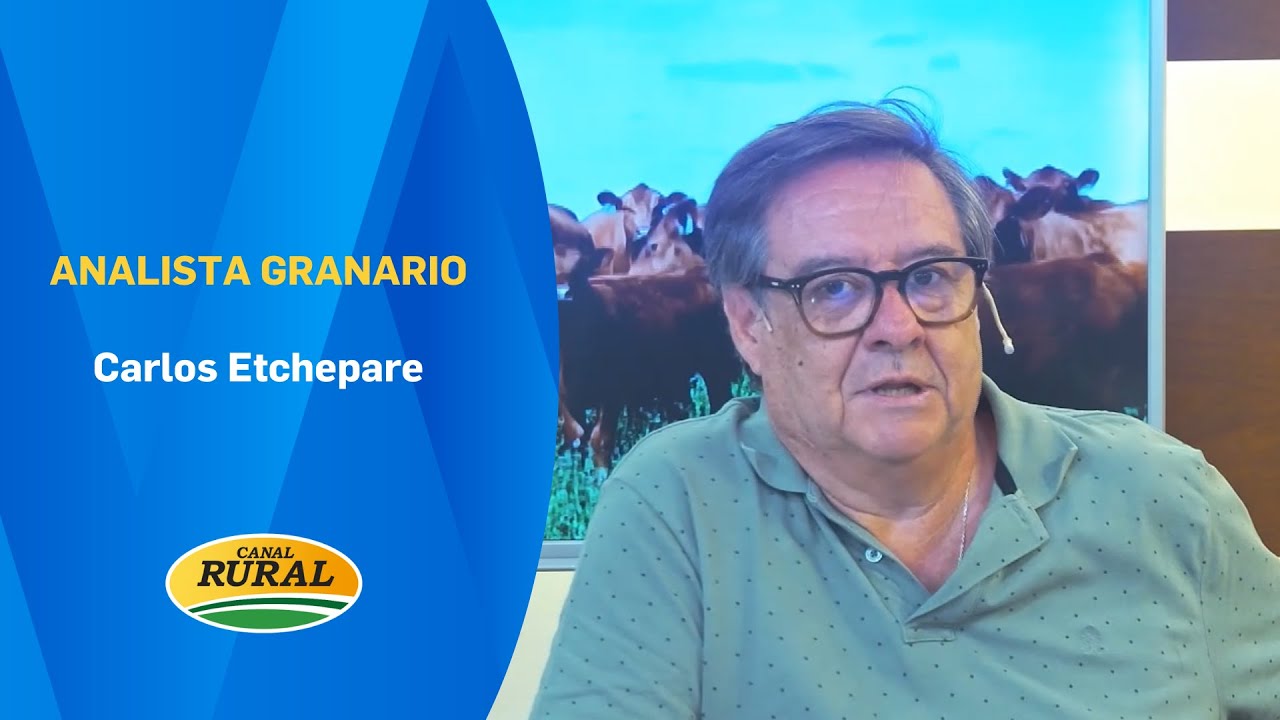 Carlos Etchepare | Analista granario | 26/01/26 | MV