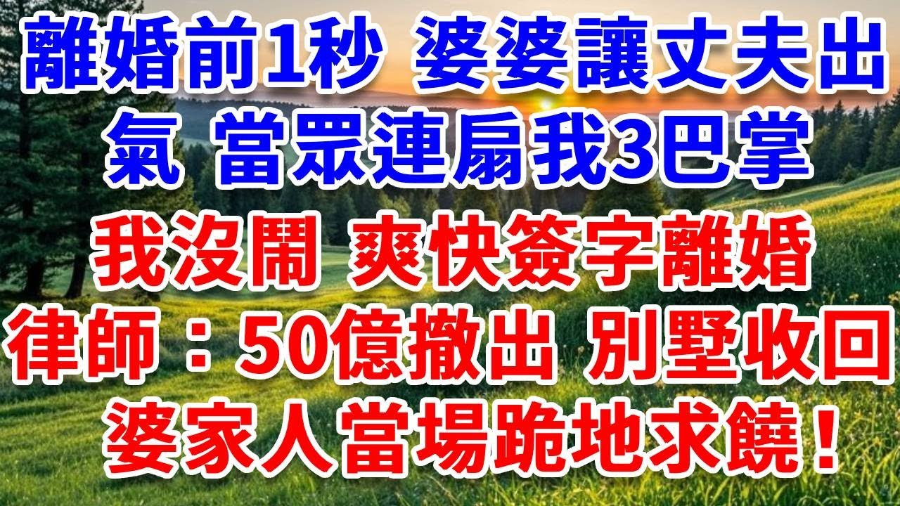 離婚前1秒 婆婆讓丈夫出氣，當眾連扇我3巴掌：窮酸貨就該滾回鄉下！我沒鬧 爽快簽字離婚，律師：50億股權撤出別墅收回，婆家人當場跪地求饒 結局超爽！#詩涵講故事#為人處世#生活經驗#情感故事#晚年哲理