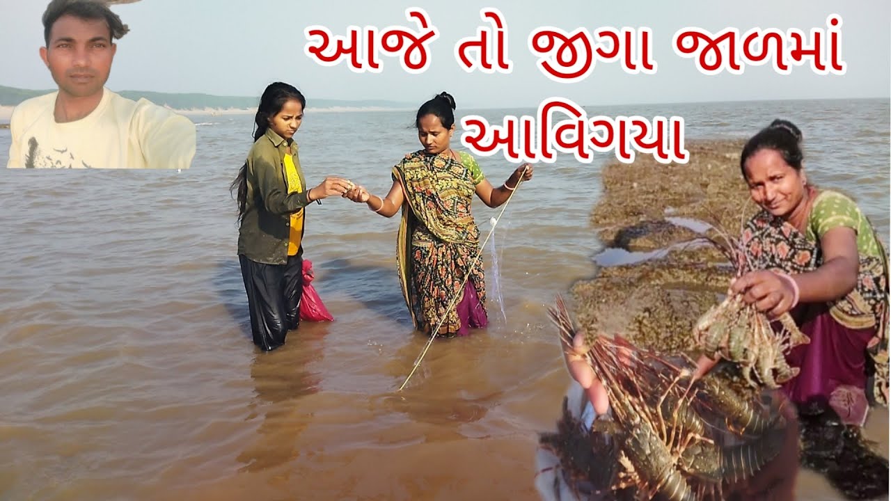 આજે તો જીગા ઘણા બધા આવા જાળમાં 
