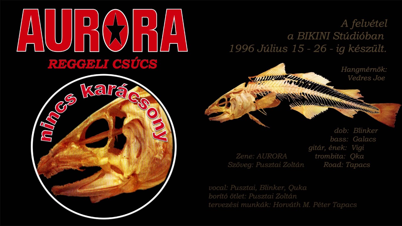 Aurora: Reggeli csúcs  - 1996 – Nincs karácsony