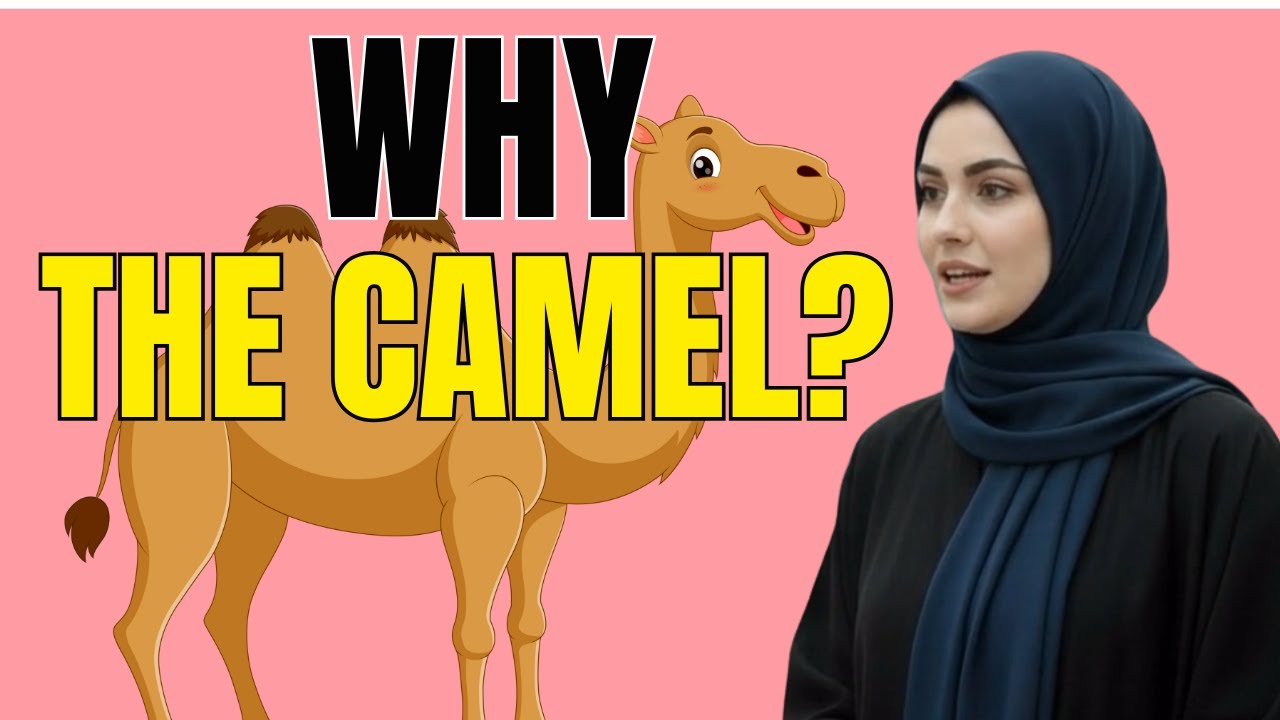 The Amazing Reminder Through Camel