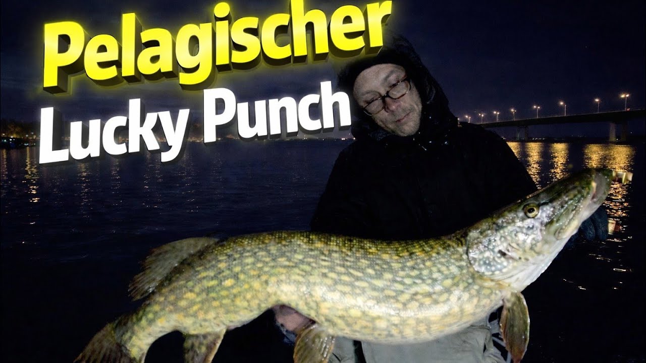 Pelagisch auf der Jagd nach dem Meter