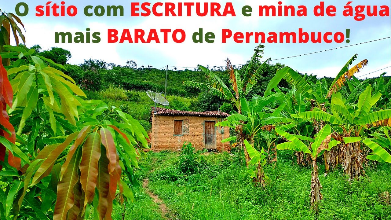 (VENDIDO) O sítio de 2,9 HECTARES com MINA DE ÁGUA mais BARATO de Pernambuco!
