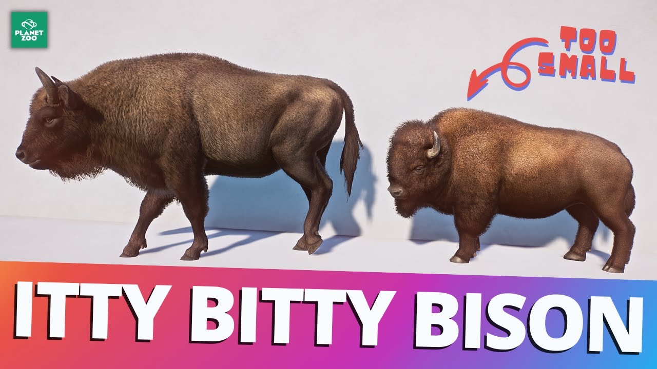 Сделаем американских бизонов снова великими | Planet Zoo