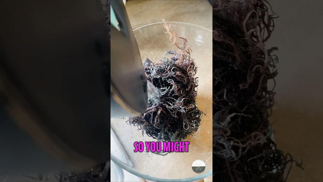 Viral Sea Moss Gel Hack for Glowing Health #SeaMossGel #WellnessTrend #SuperfoodVibes