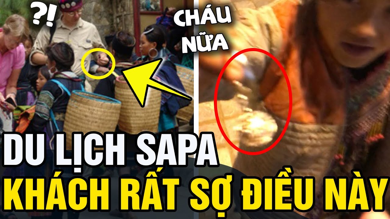 Nhiều người đi 'DU LỊCH SAPA' sẽ phải 'PHÁT HOẢNG' khi thấy cảnh 'CHÈO KÉO' này | Tin 5s