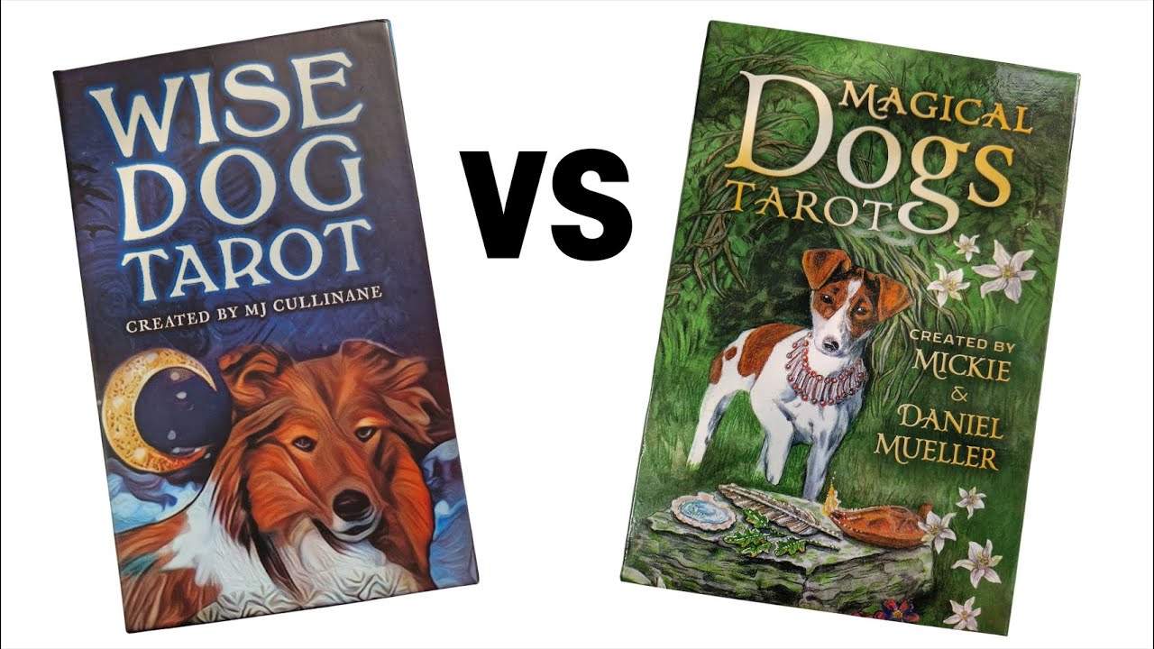Wise Dog Tarot vs Magical Dogs Tarot Deck Comparison - HD