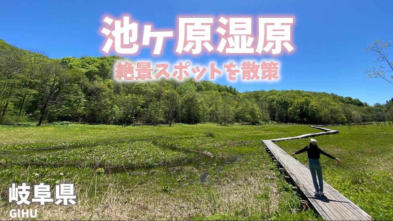 【岐阜県観光】池ヶ原湿原の絶景スポットを散策！晴れ渡る空にキラキラ光る湿原を歩くだけでも楽しい！[Gifu Prefecture Tourism] Ikegahara Wetland
