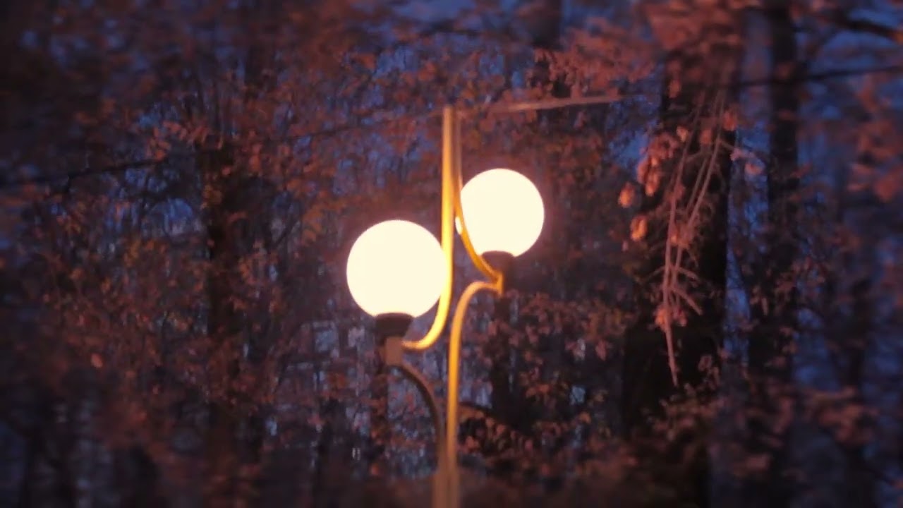 Autumn tonigth|videography 2019