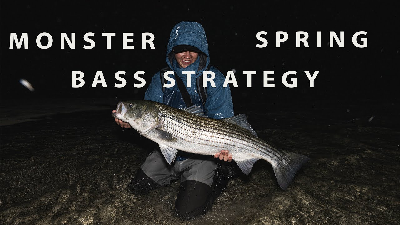 How to Catch Monster Spring Striped Bass: Proven Tips & Tactics #stripedbassfishing #stripedbass