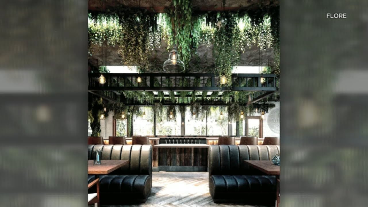 West Hollywood approves license for cannabis caf&eacute; | ABC7