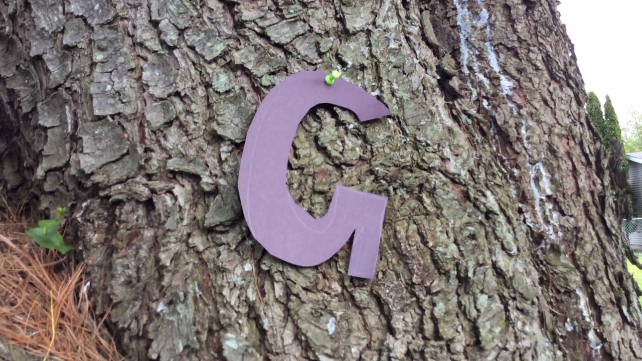 Find the Letters with Ms Chloe ~ Gosport Head Start