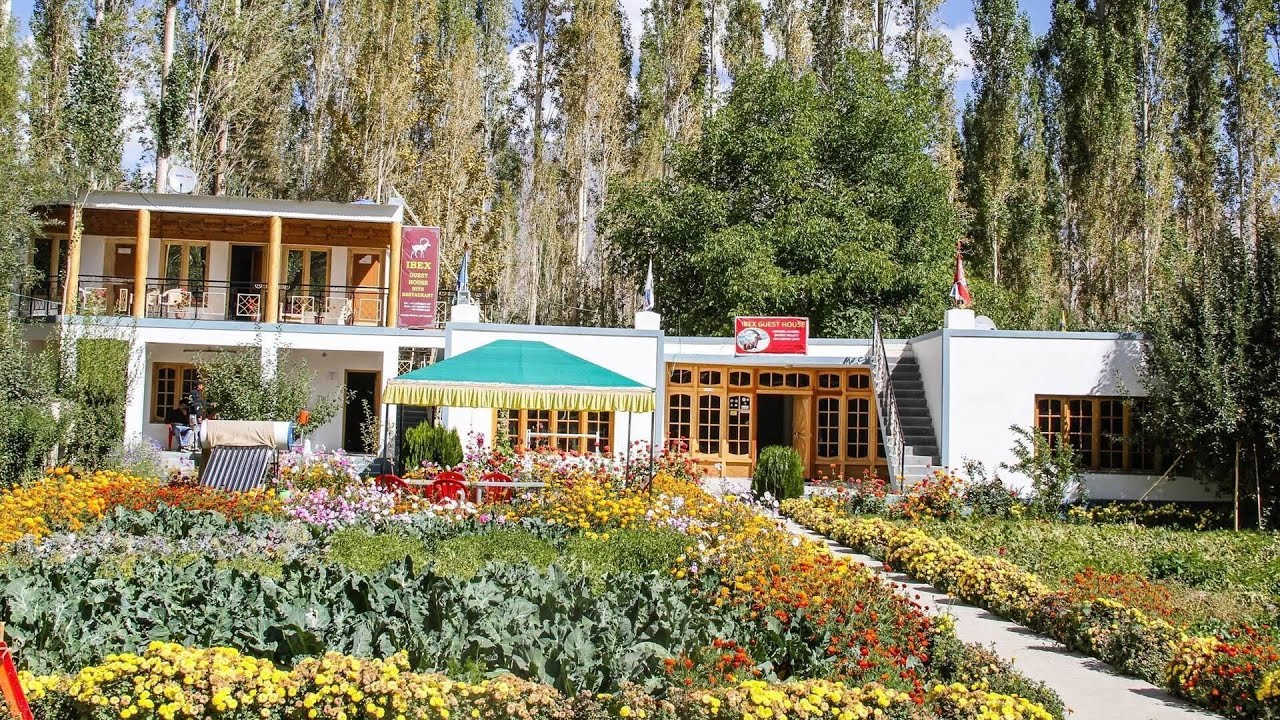 Ibex Guest House, Leh, India | Travel With Anvika