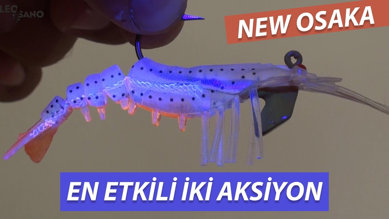 LEVREK AVI... SİLİKON KARİDES'TE EN ETKİLİ İKİ AKSİYON...