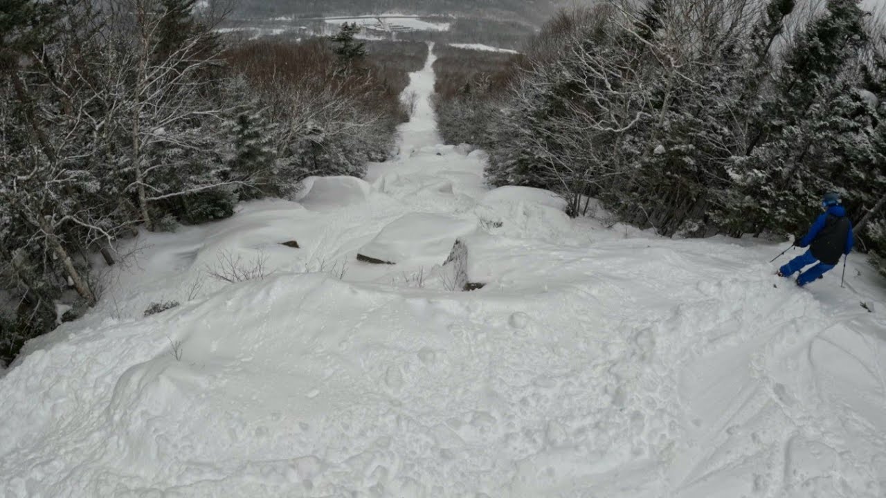 Pow Day at Wildcat | SNOWBOARDING
