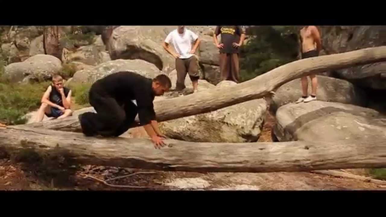 Fontainebleau 2012
