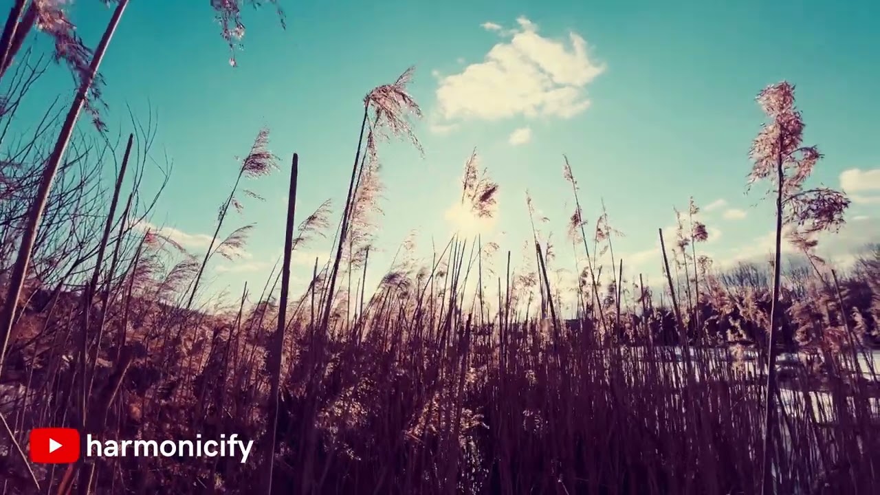 Safe Strath: Acoustic music for tranquility 🌌 ‣ Original Instrumental Music - #00045