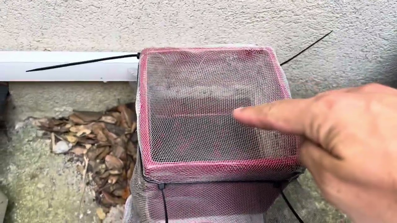 Astuce - Booster le piège à moustique extérieur Biogent