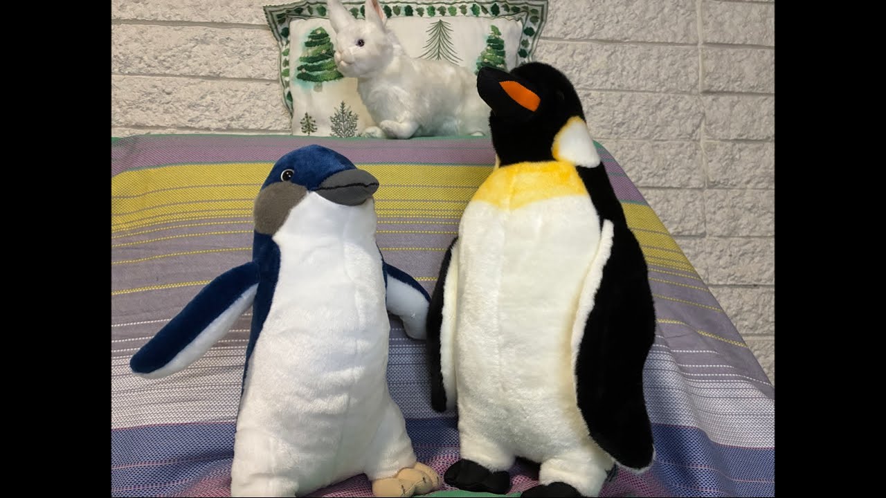 Cozy Arctic Cabin: Chill Night with the Penguin Squad & Snow Rabbit 🥶 🔴LIVE