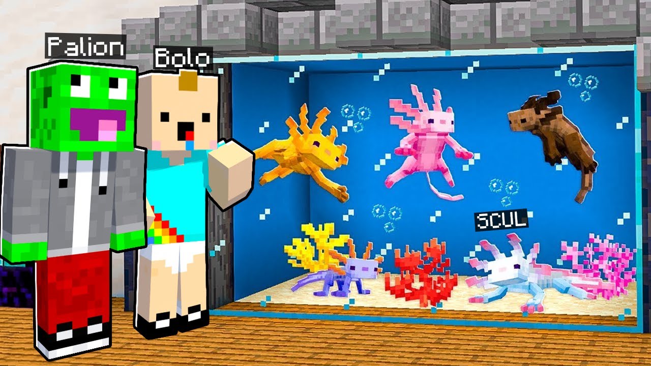 NOWE AKWARIUM W NOWYM DOMU NA PALIONOWIE DLA NIEBIESKIEGO AXOLOTLA!