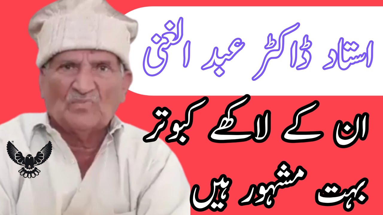 Lakha Breed I Lakha Kabootar I Ustad Dr. Abdul Ghani ka Lakha Kabootar I Lakha Pigeon