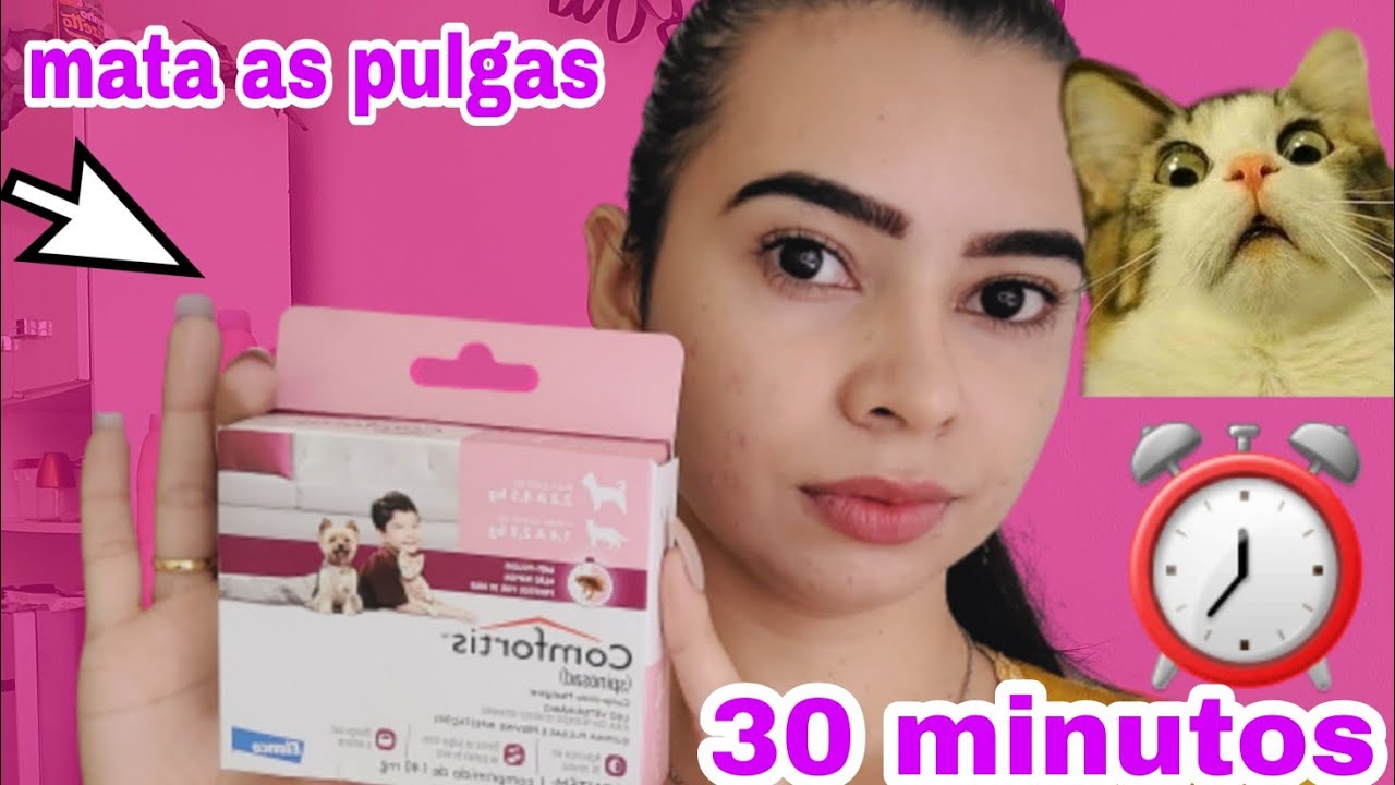 CONFORTIS para CÃES e GATOS FUNCIONA? Acao 30 minutos 😱