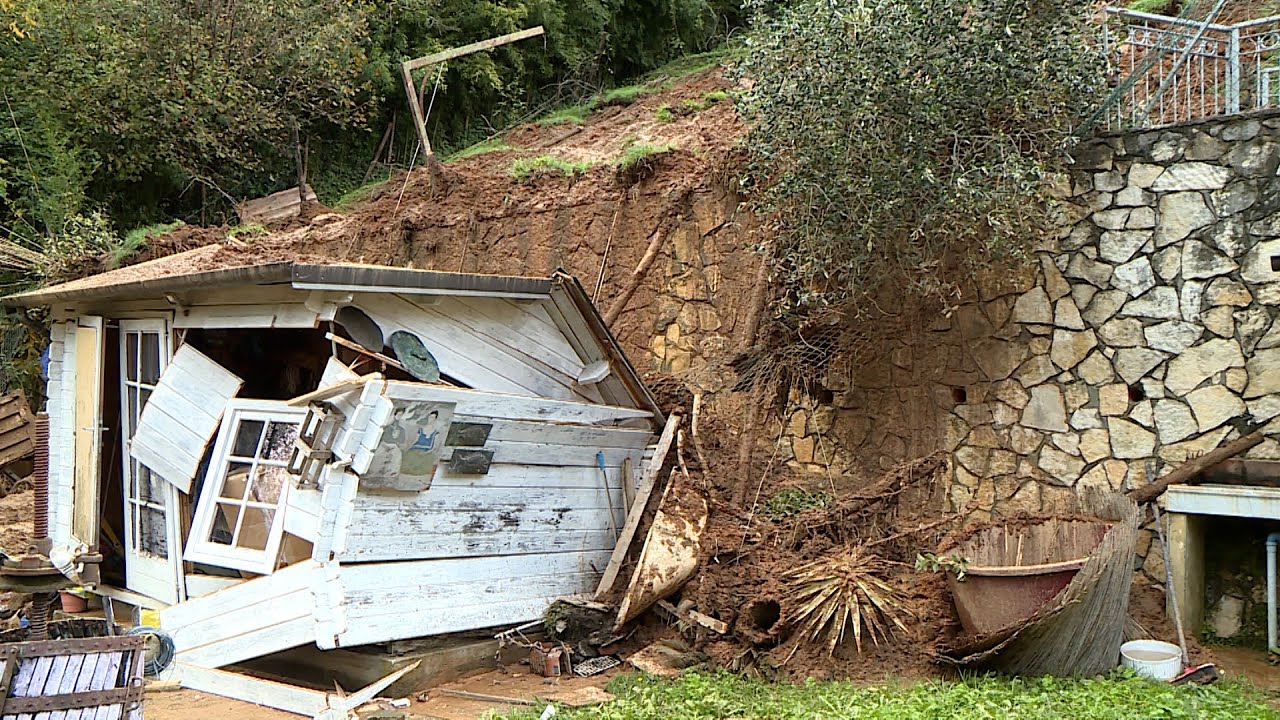 Maltempo: famiglia evacuata a Pietrasanta, un pino crolla alla stazione di Viareggio