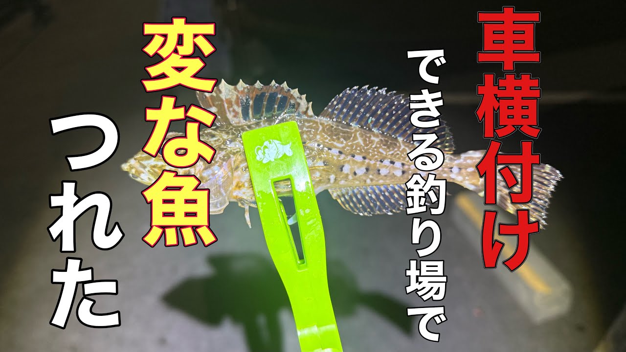 【釣り】横付けして寒さ気にせず釣りする【アジング】