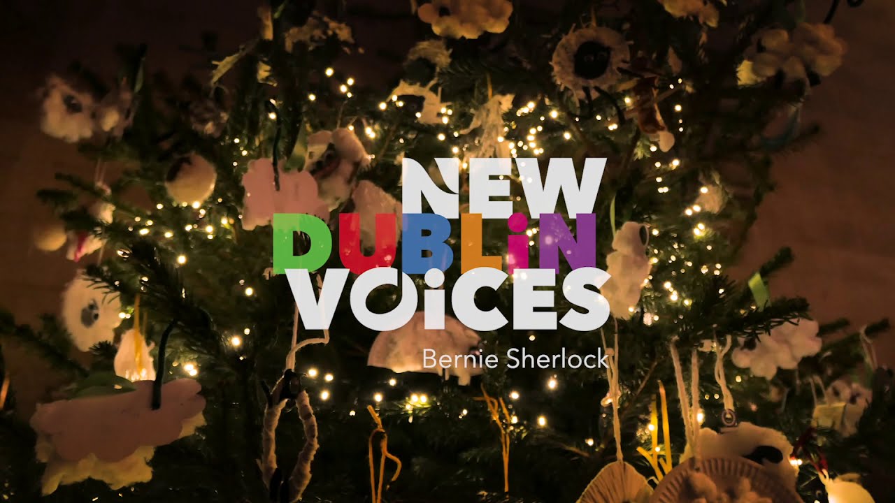 New Dublin Voices - 